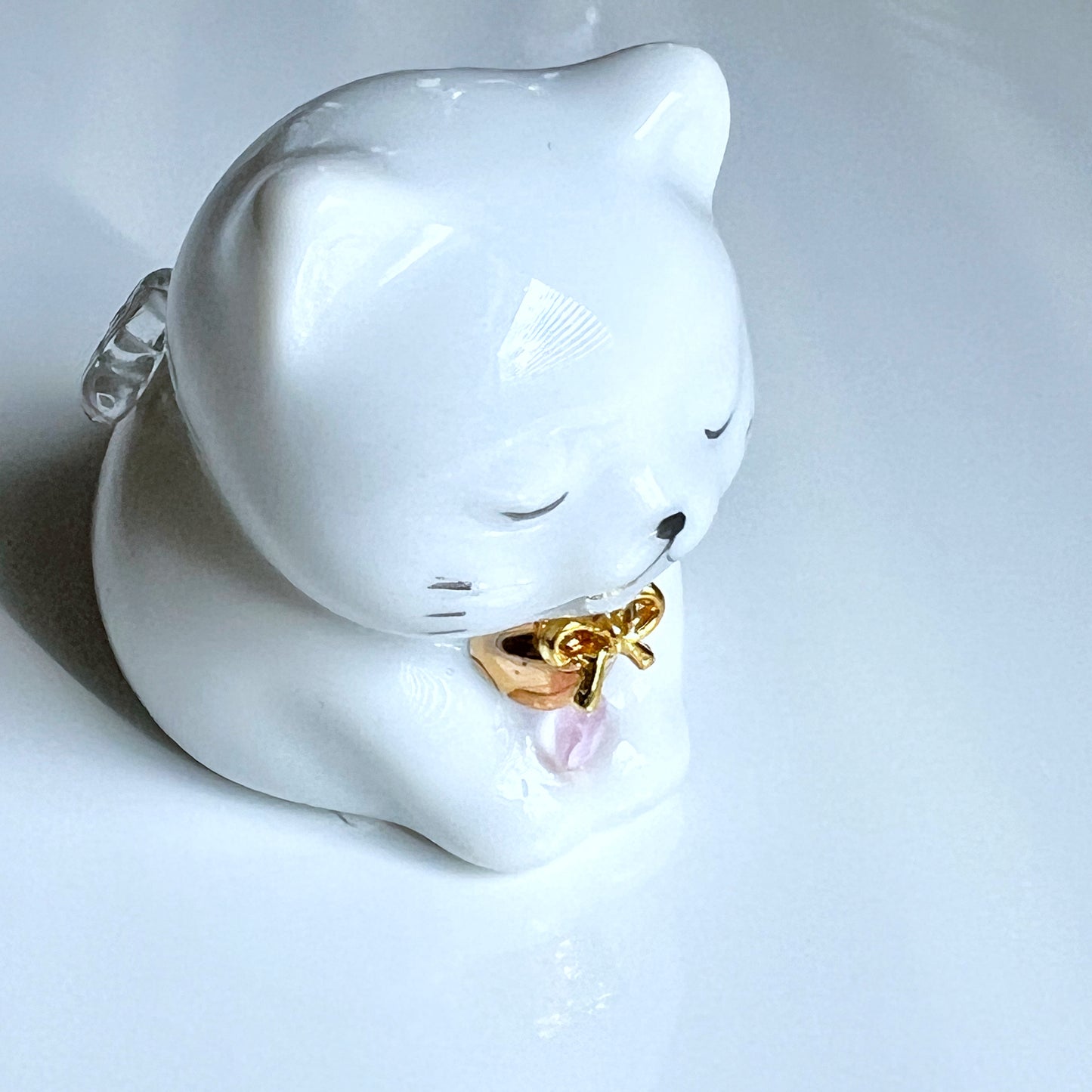 天然石を持ったなにとぞ猫
