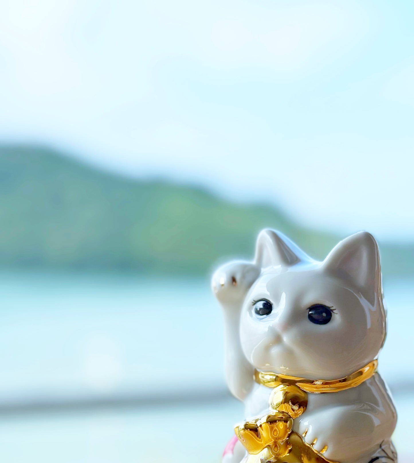 金運に特化した『金着招き猫™︎』 金襴座布団と同時にカートに入れると300円OFF
