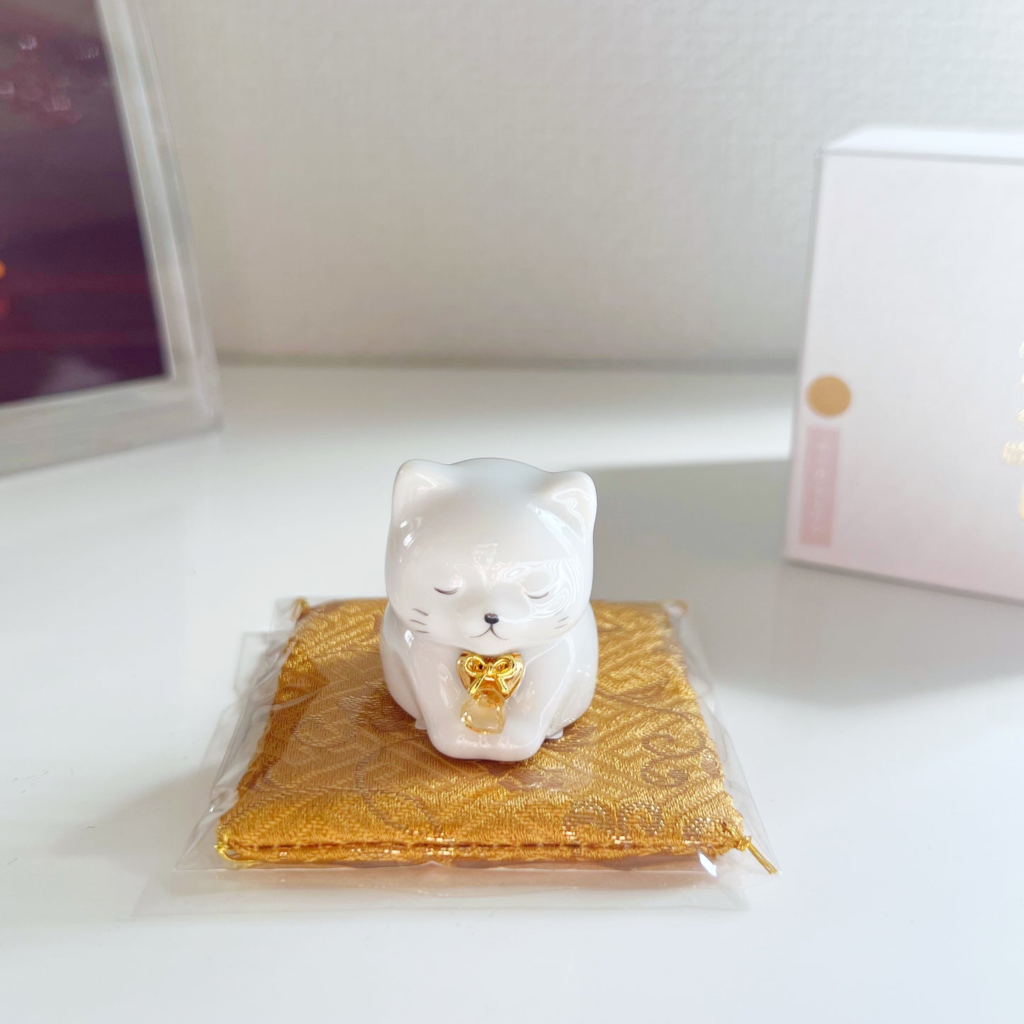 天然石を持ったなにとぞ猫