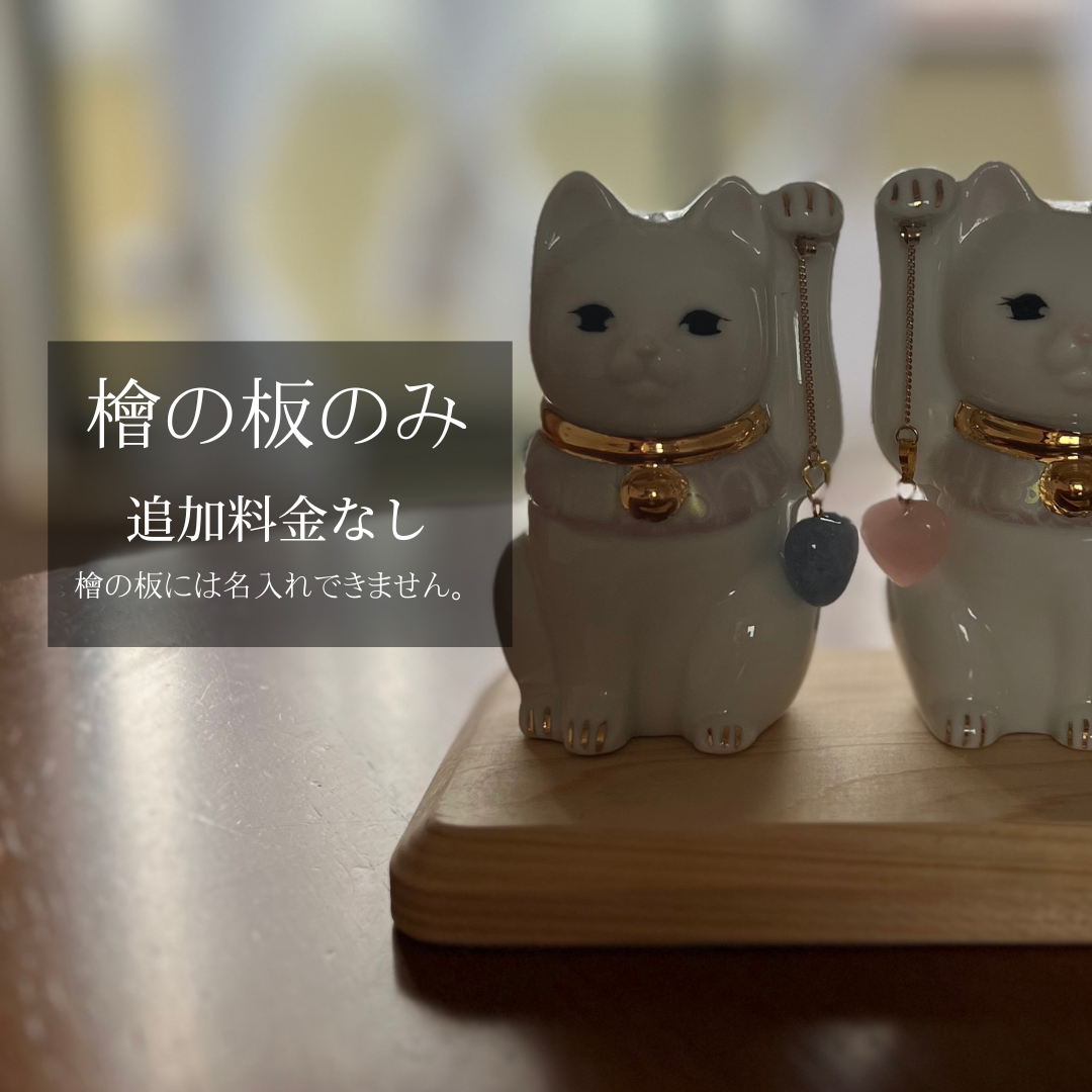 絆 猫 (きずなねこ)