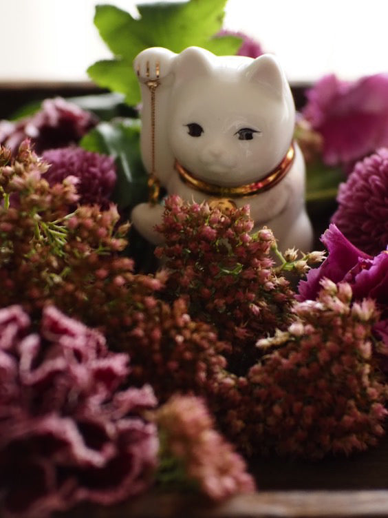 絆 猫 (きずなねこ)