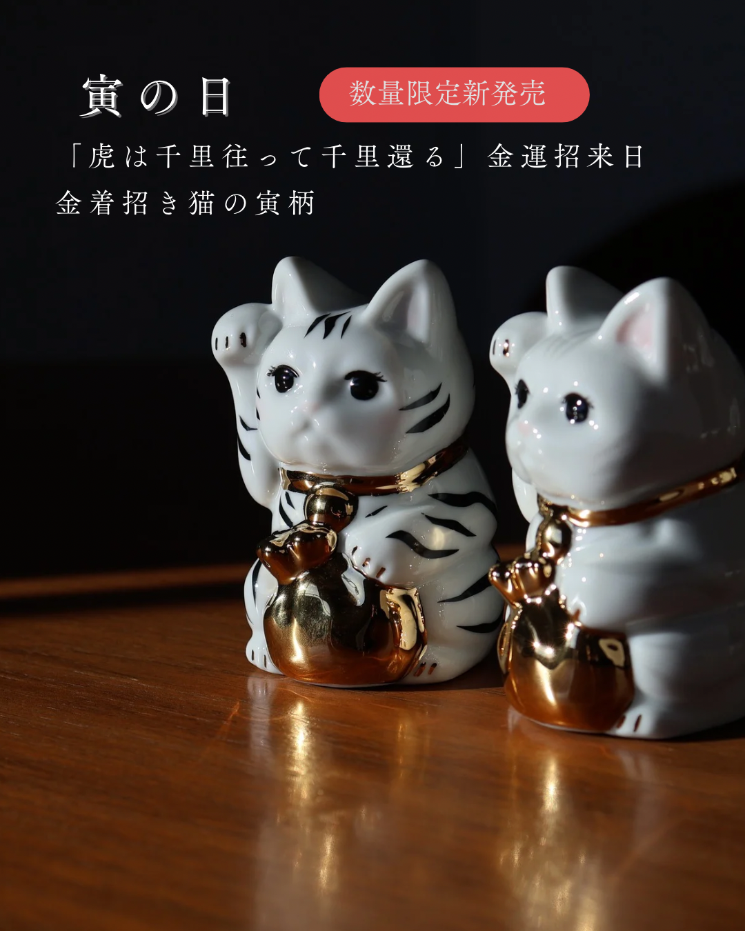 福に特化した招き猫！！『金着招き猫』寅柄新登場！