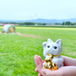 福に特化した招き猫！！『金着招き猫』ピンクも新登場！
