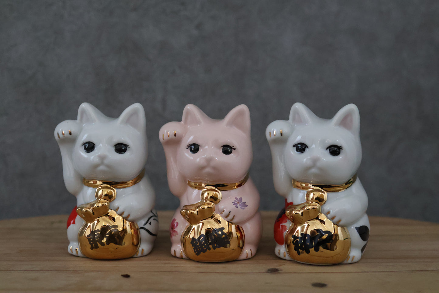 福に特化した招き猫！！『金着招き猫』寅柄新登場！